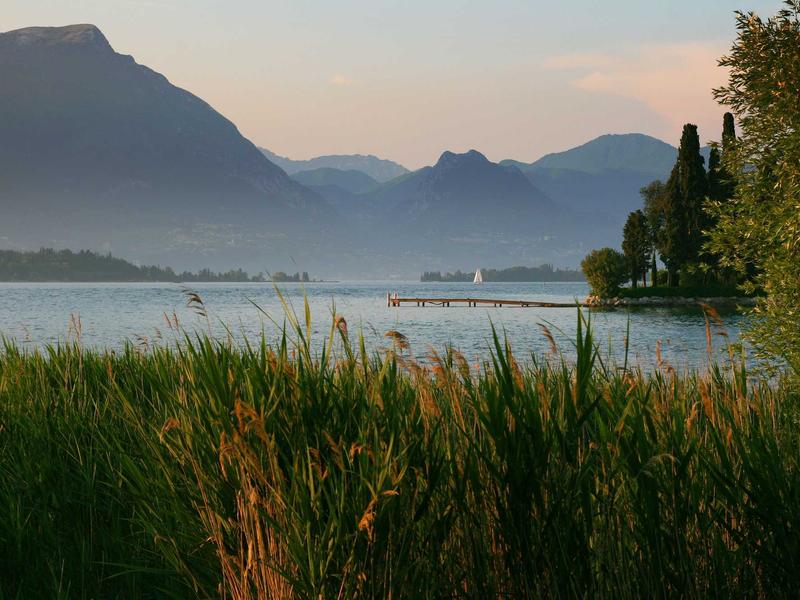 ZelvaNumoriTren Santiago de los Caballeros